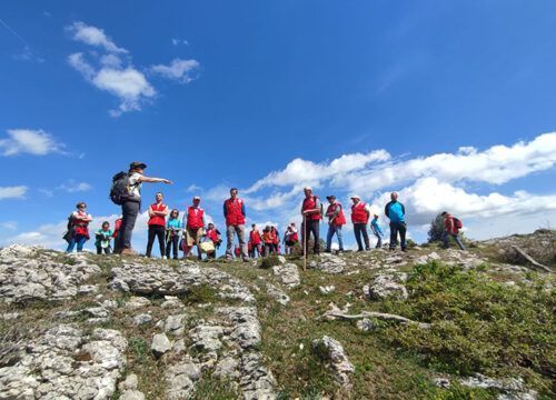 Voluntariado Ambiental con la Cruz Roja por zonas fluviales