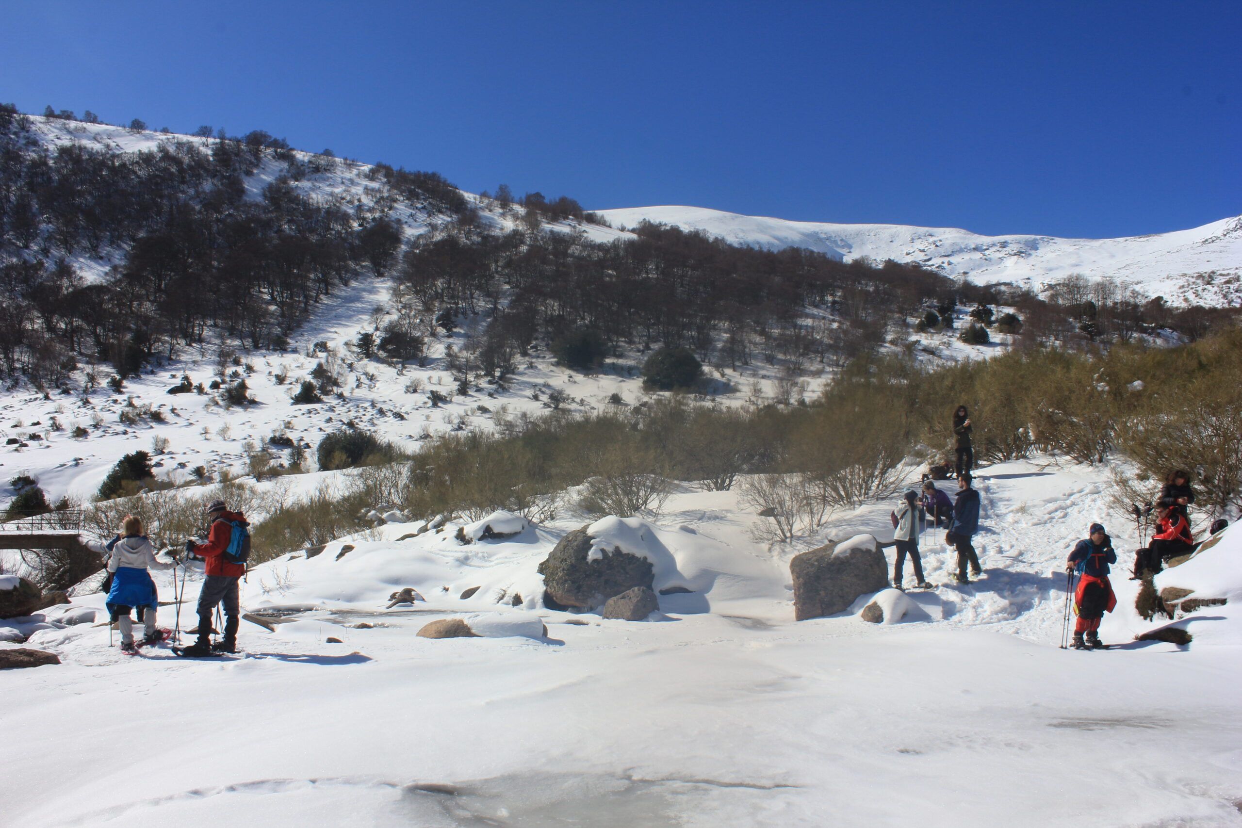 RUTAS CON RAQUETAS DE NIEVE Y SENDERISMO INVERNAL - Imagen 12