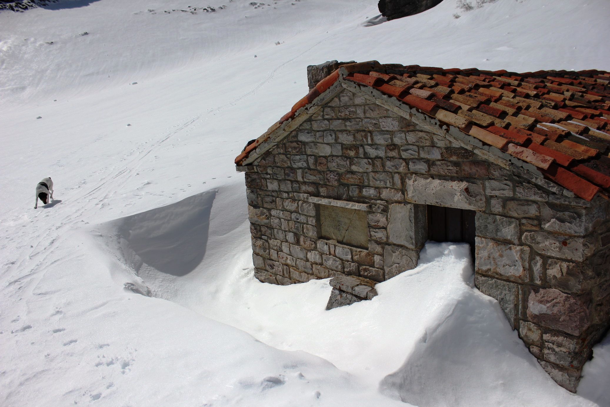 RUTAS CON RAQUETAS DE NIEVE Y SENDERISMO INVERNAL - Imagen 5
