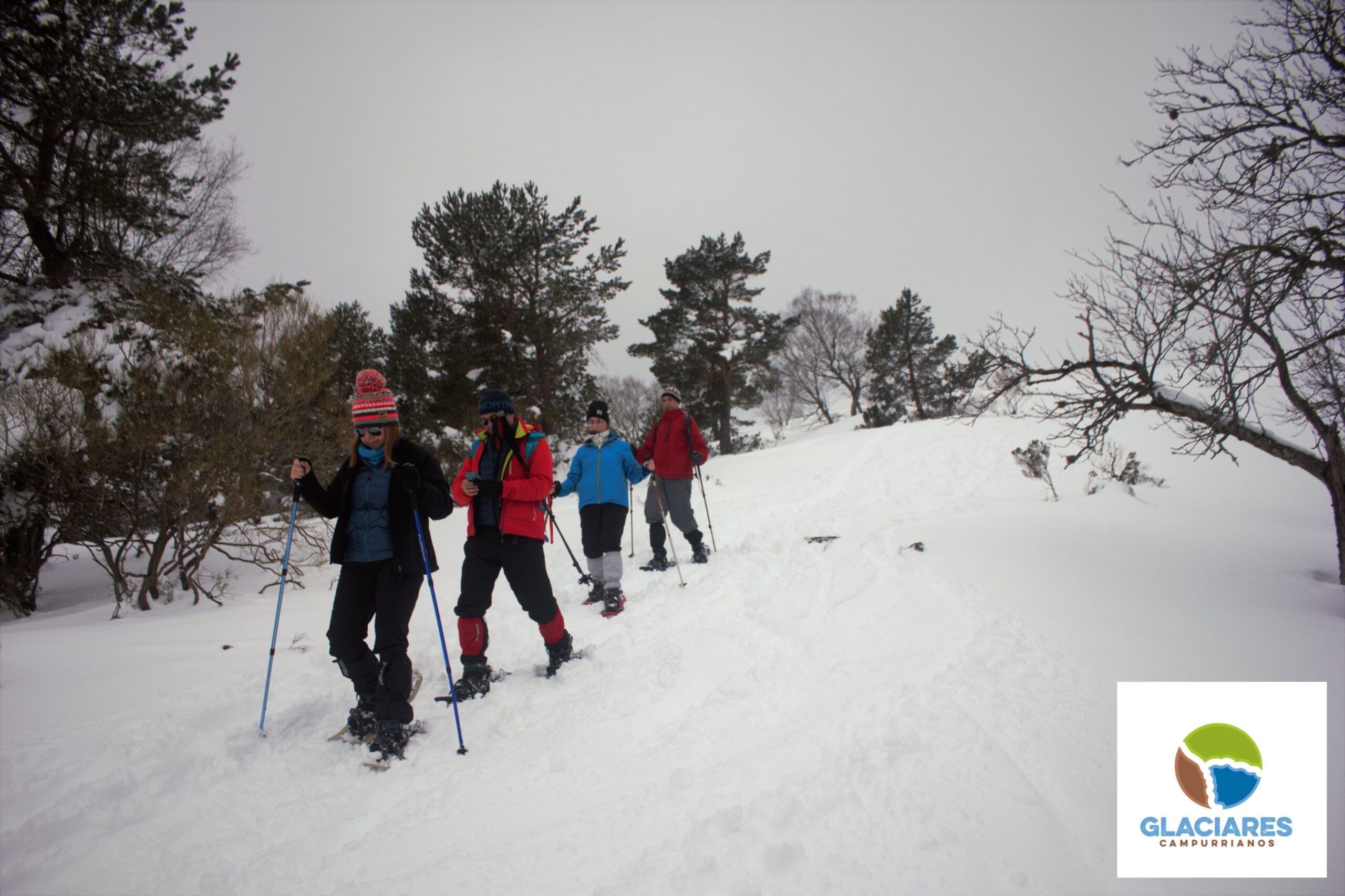 Rutas nocturnas con raquetas de nieve cantabria