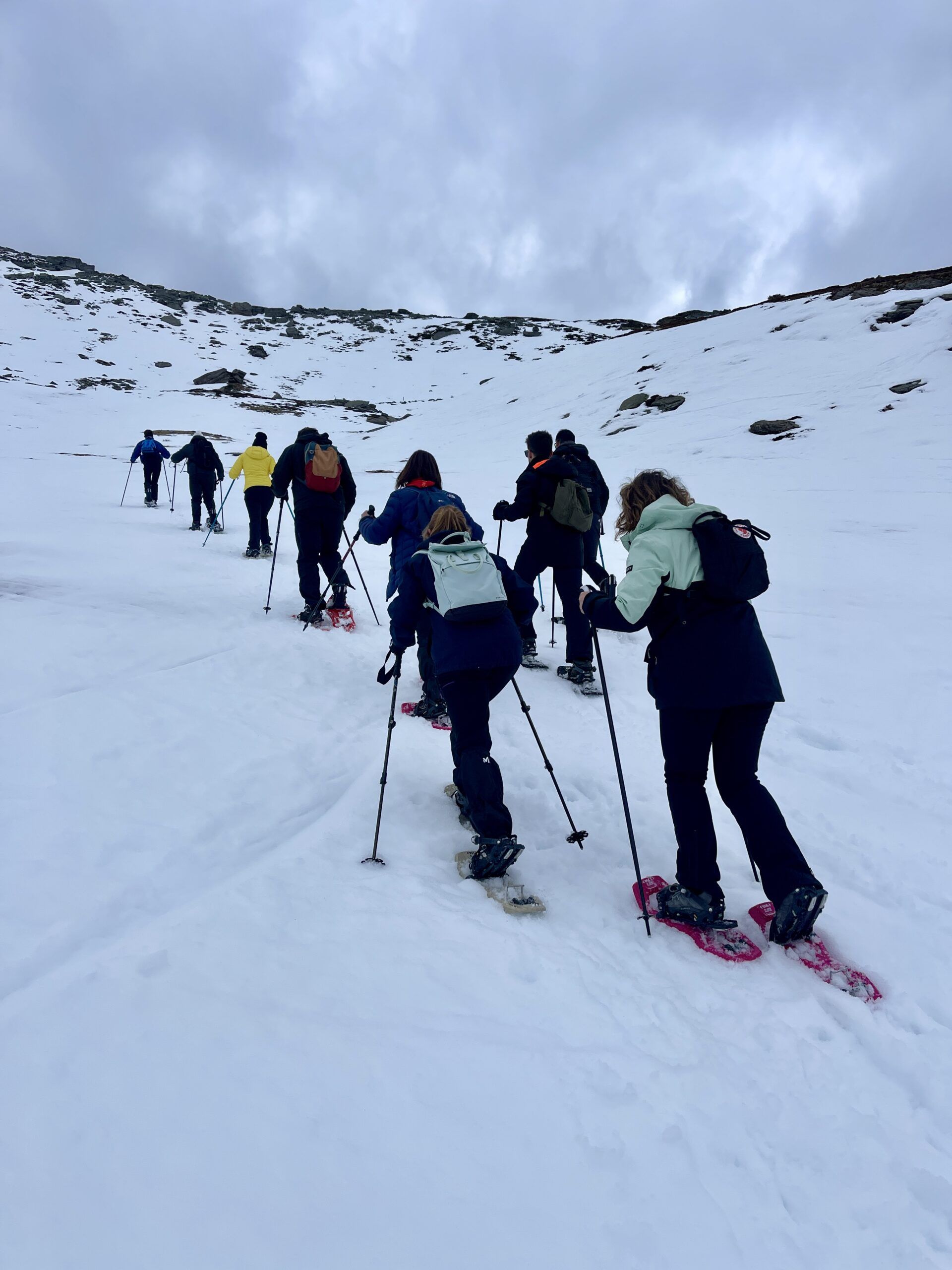 Ruta nocturna con raquetas de nieve por Campoo
