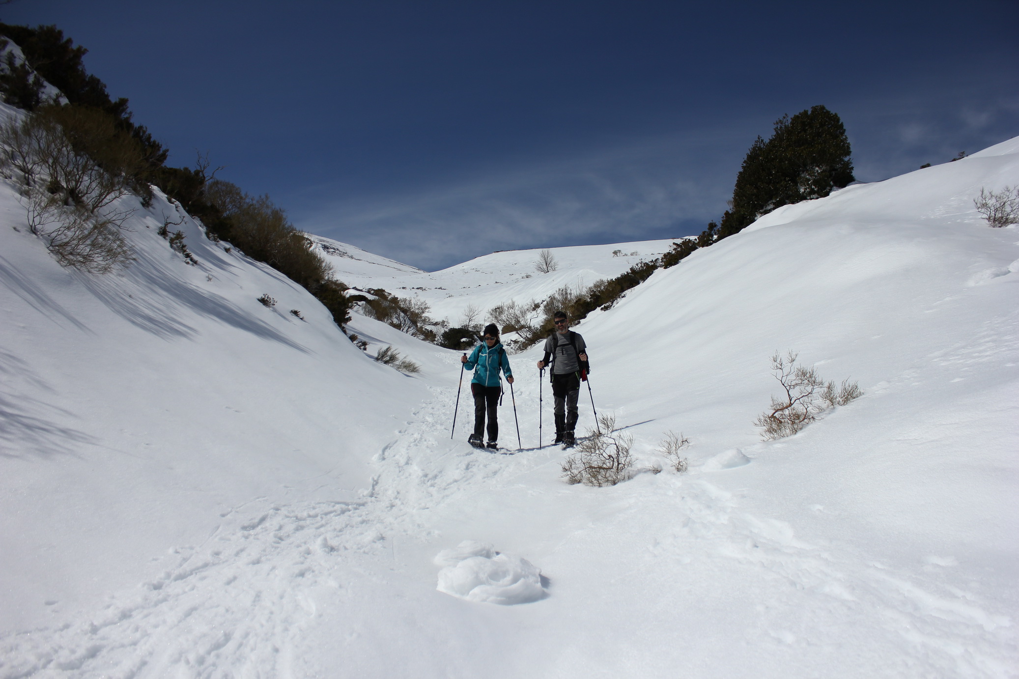 Ruta de mañana con raquetas de nieve por Campoo