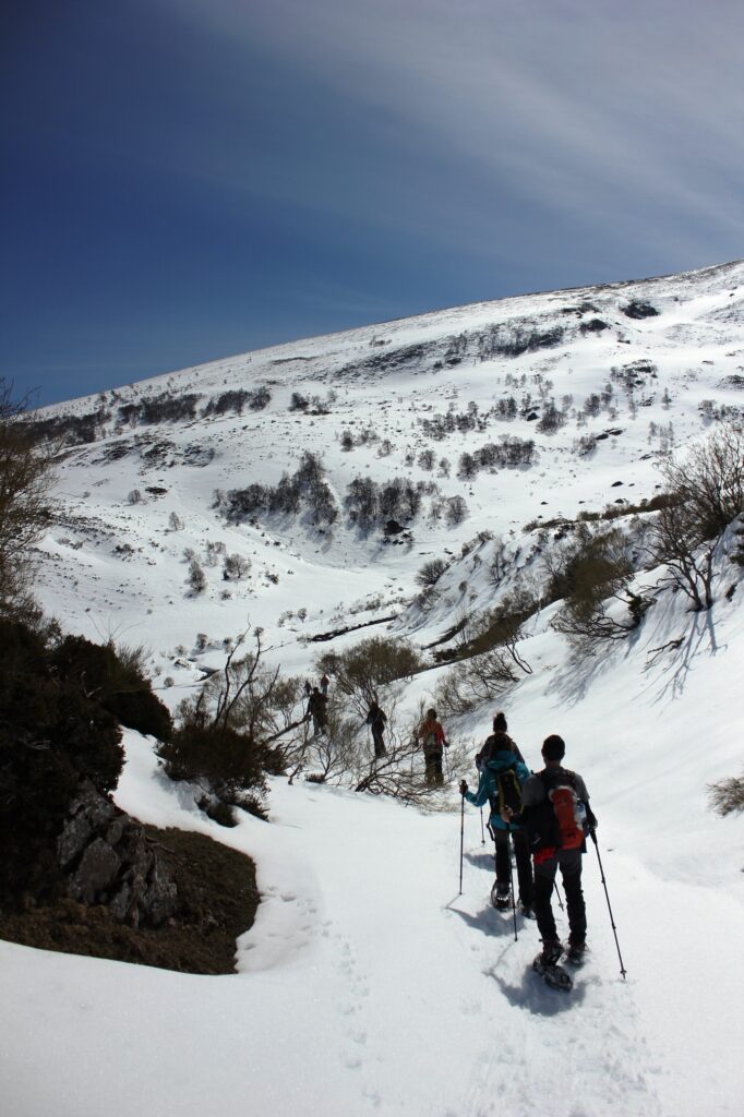 Ruta de mañana con raquetas de nieve por Campoo