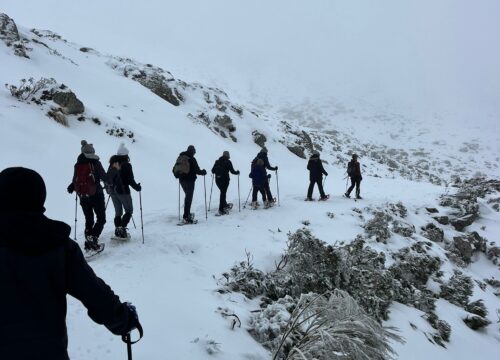Raquetas de nieve por Alto Campoo. Año 2026