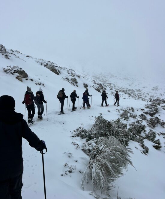 Raquetas de nieve por Alto Campoo. Año 2026