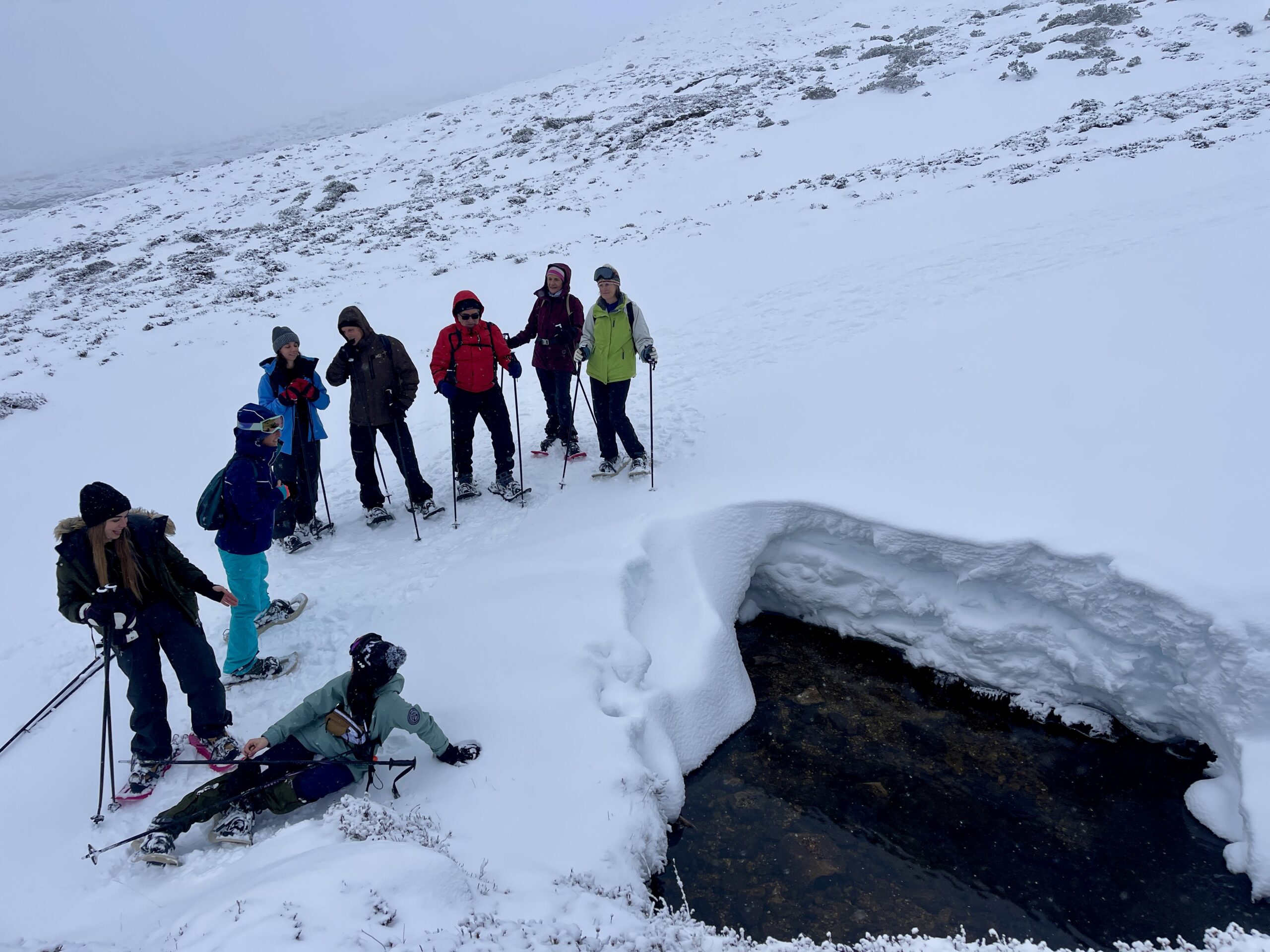 raquetas de nieve por Alto Campoo Cantabria 8 febrero domingo
