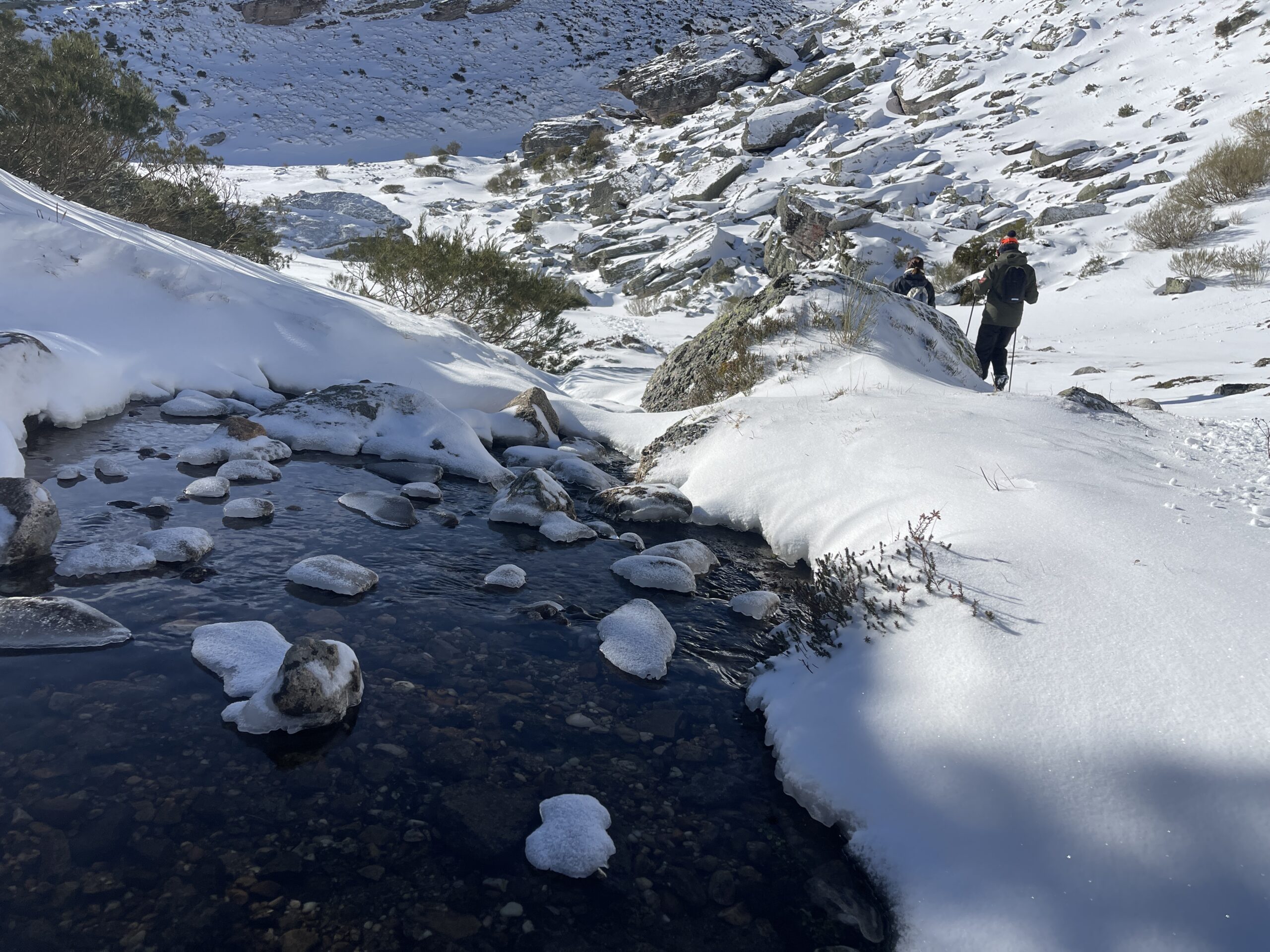 Raquetas de nieve por Alto Campoo 17 de enero de 2026