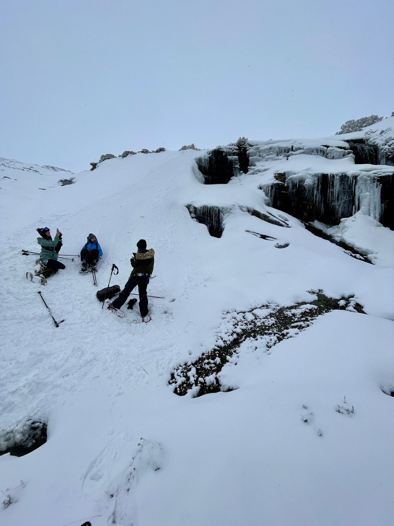 Ruta raquetas de nieve Alto Campoo Cantabria 1 de febrero de 2026