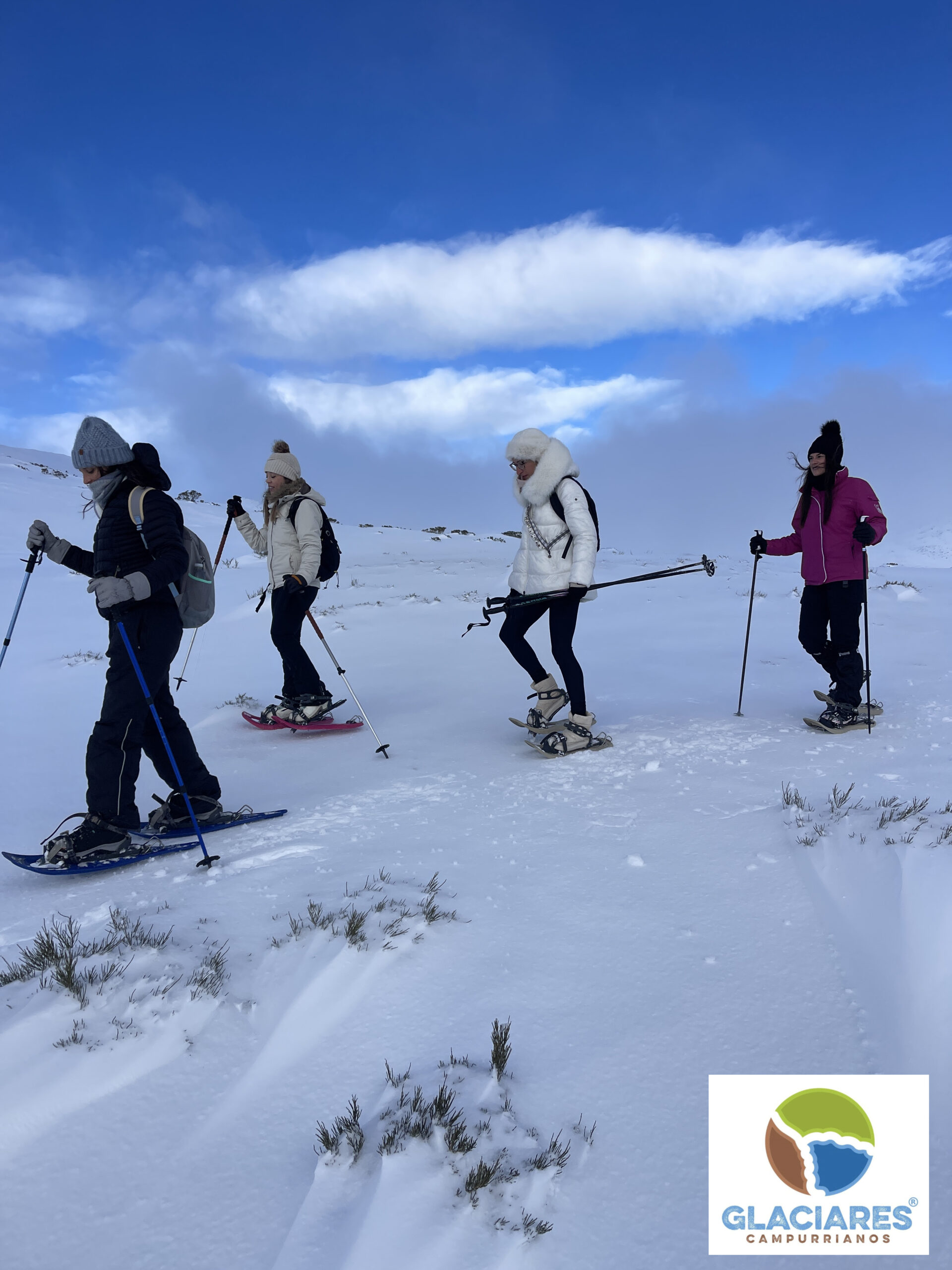 Ruta raquetas de nieve Alto Campoo Cantabria 14 de febrero de 2026